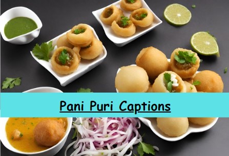 Funny Pani Puri Captions for Instagram