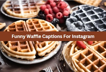 Funny Waffle Captions For Instagram