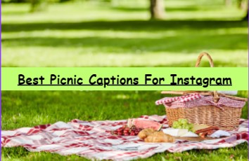 92+ Best Picnic Captions For Instagram