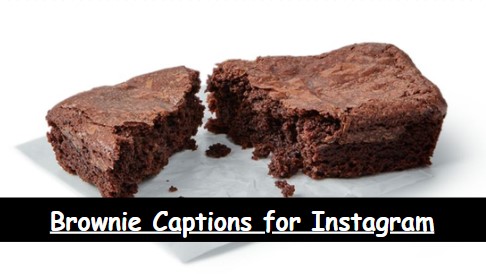 88+ Brownie Captions for Instagram