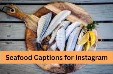 Short Seafood Captions for Instagram